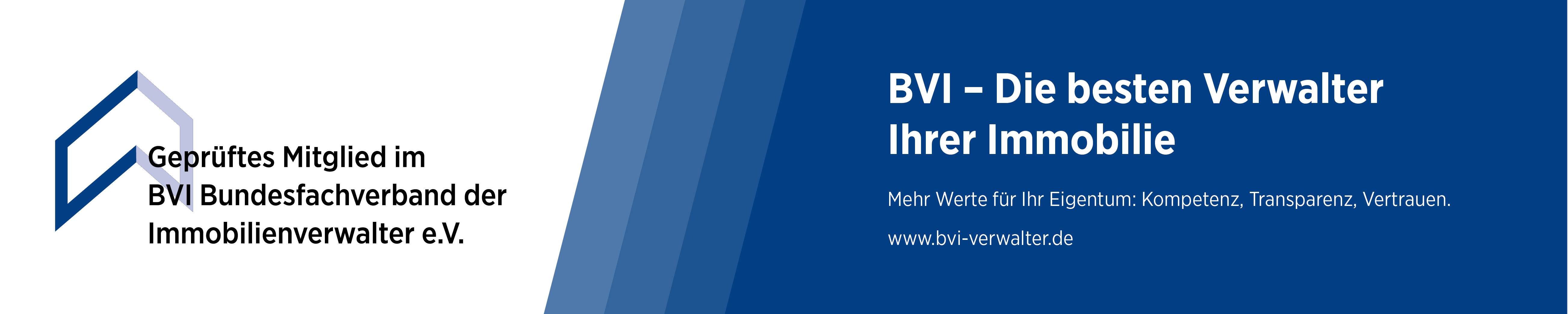 BVI Banner